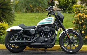 Harley-Davidson XL 1200 2019 NS SPORTSTER IRON
