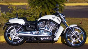 Harley-Davidson V Rod Custom 2014 V Rod Muscle