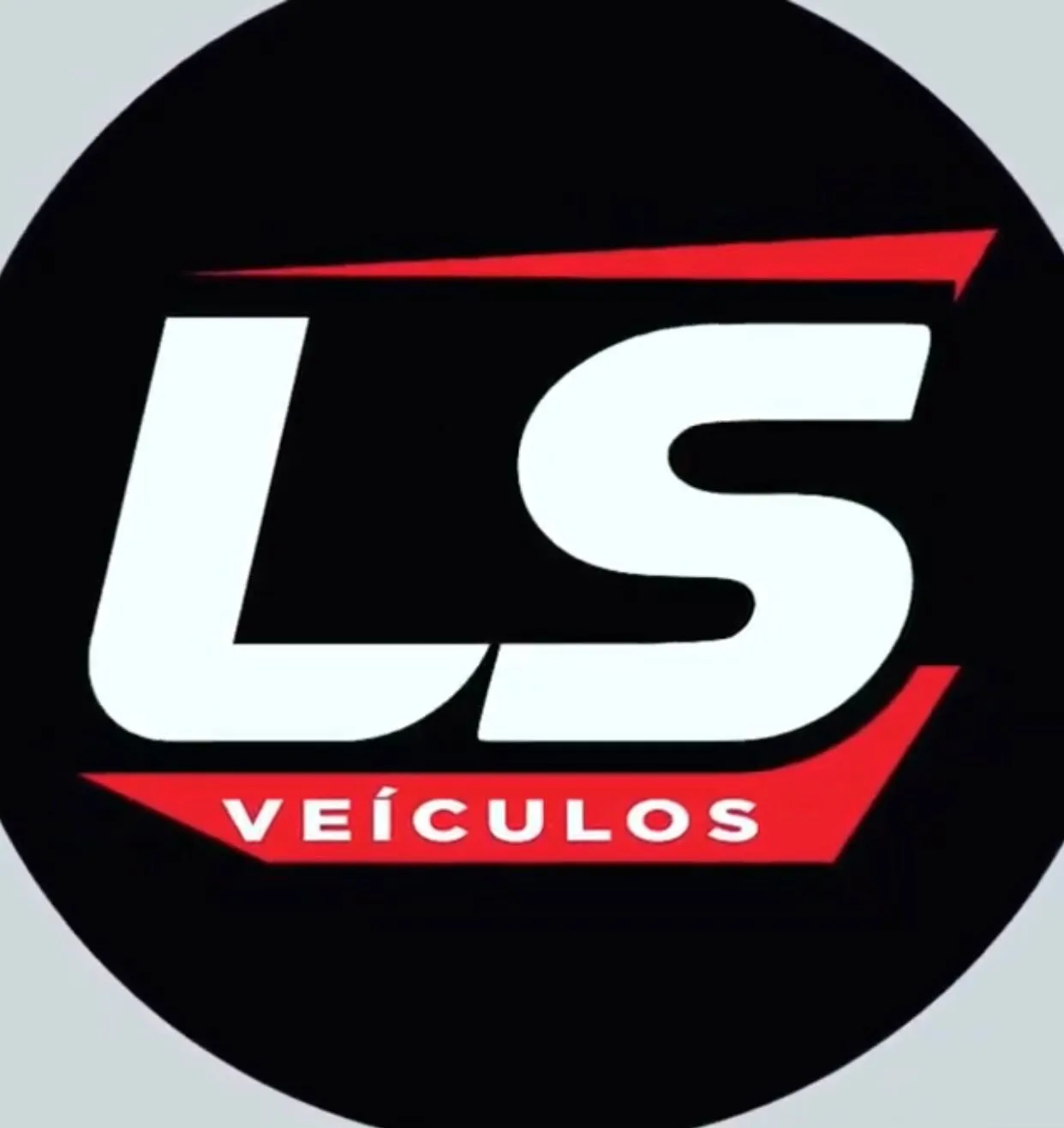 LS VEICULOS 