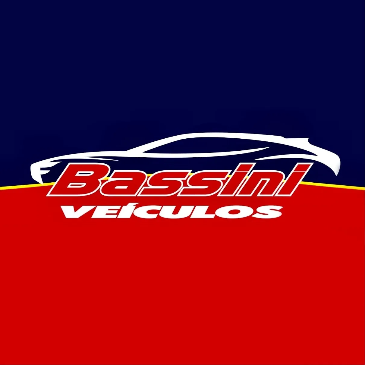 BASSINI VEICULOS