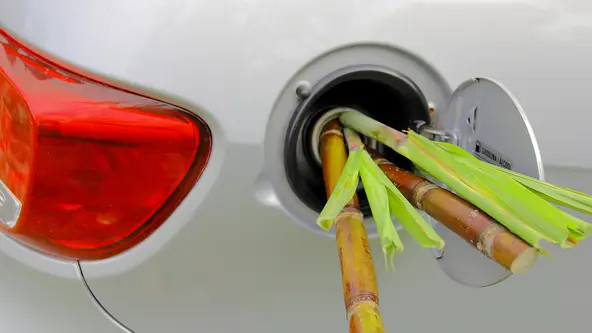 Biocombustível derivado da cana tem uso abaixo do potencial e país não define rumos mais claros para ele
