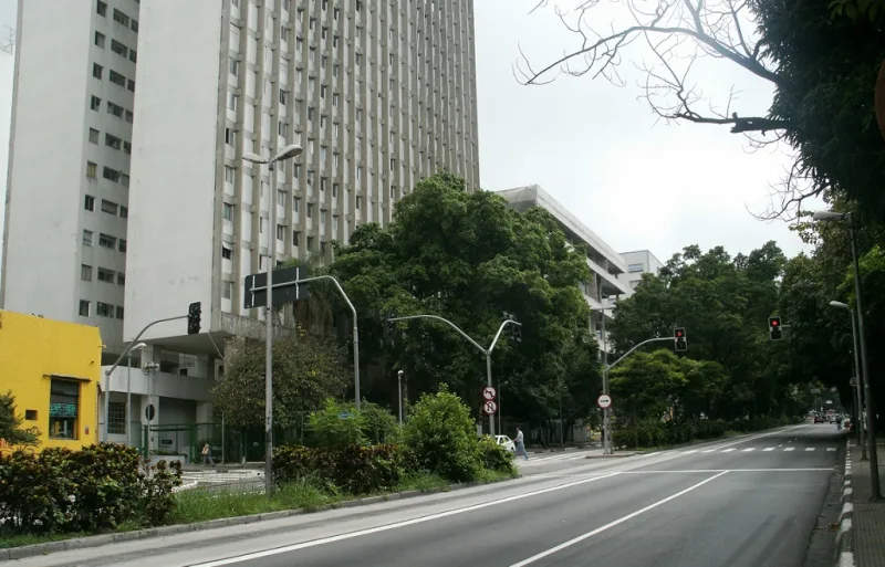 Novo rodízio de carros em São Paulo: regras e como solicitar isenção