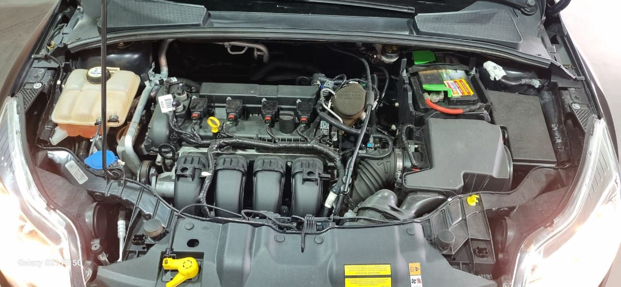 Ford Focus Hatch