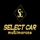 Imagem da loja SELECT CAR MULTIMARCAS  - São Vicente - SP