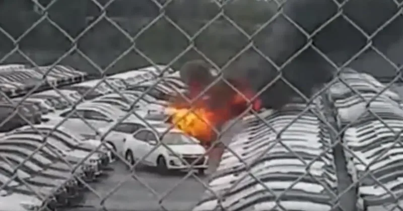 10 Recalls tão absurdos que não parecem verdade