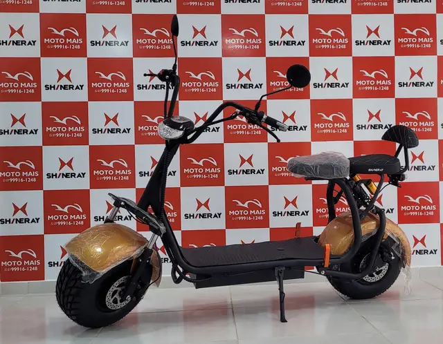 Carro Shineray PT2 2023 2000W