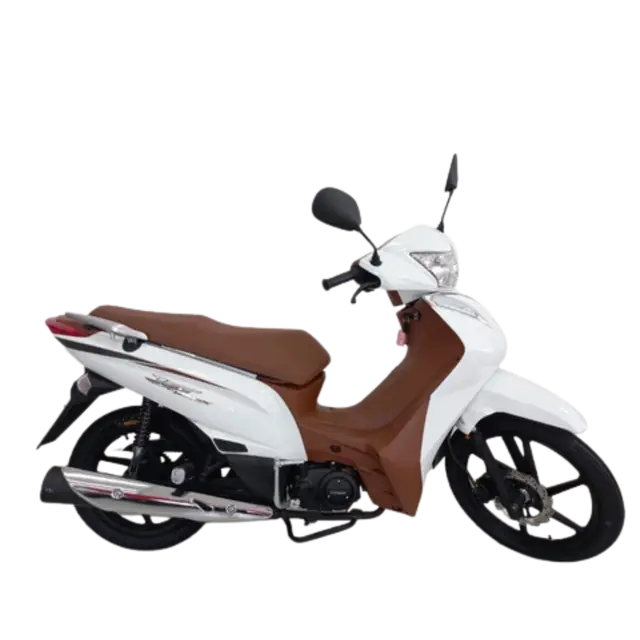 Moto Shineray JET 125SS 2024 124 cc