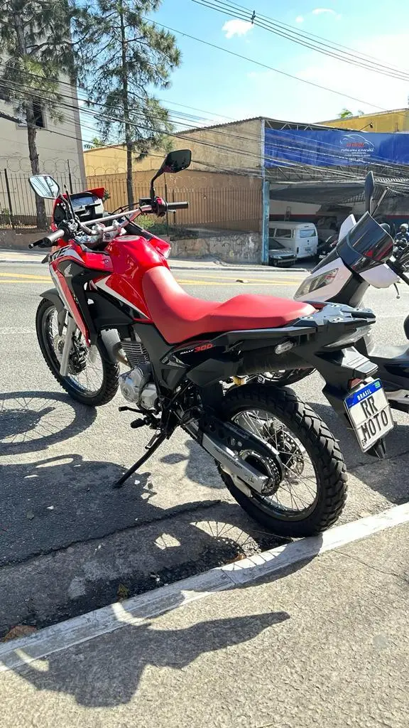Honda XRE 300 (ABS) (Flex)