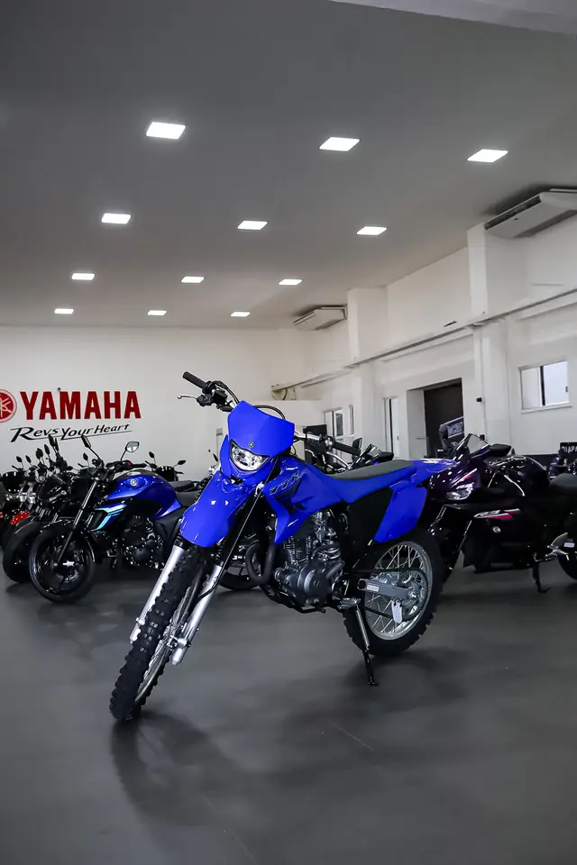 Carro Yamaha TT-R 230 2025 223 cc