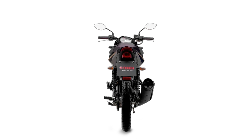 Yamaha YS 150 Fazer UBS