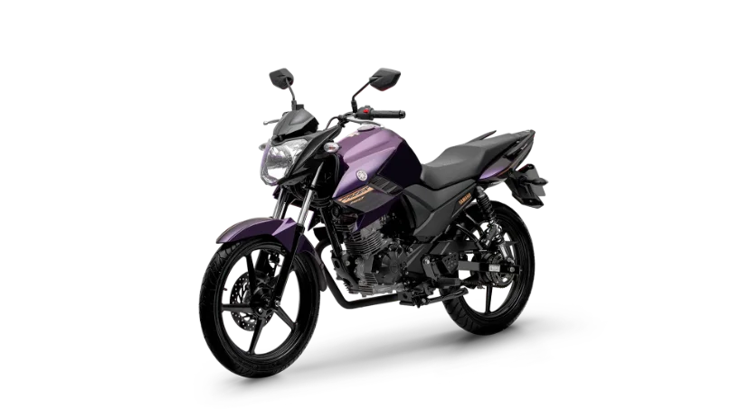 Yamaha YS 150 Fazer UBS