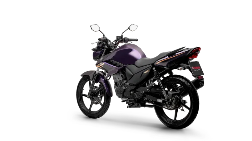 Yamaha YS 150 Fazer UBS