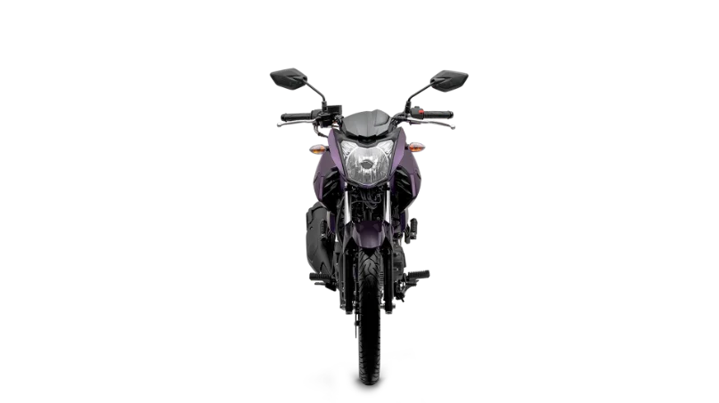 Yamaha YS 150 Fazer UBS