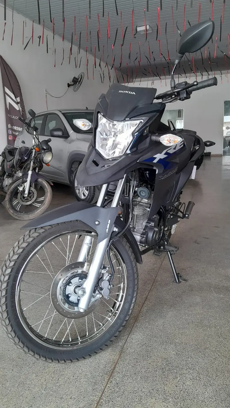 Honda XRE 300 (ABS) (Flex)