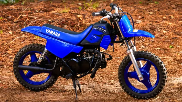 Carro Yamaha PW 50 2024 49 cc