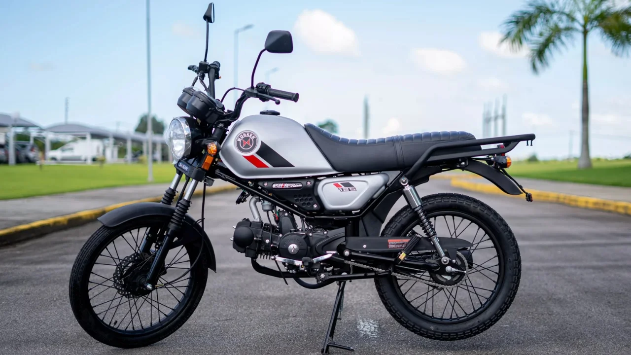 Shineray Worker 125  124 cc