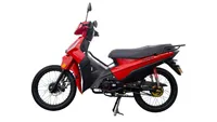 Shineray Phoenix S 2023