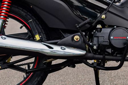 Phoenix S EFI
