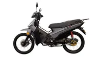 Shineray Phoenix S 2024