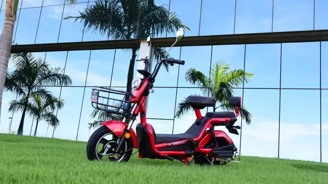 Carro Shineray PT1 2025 350W