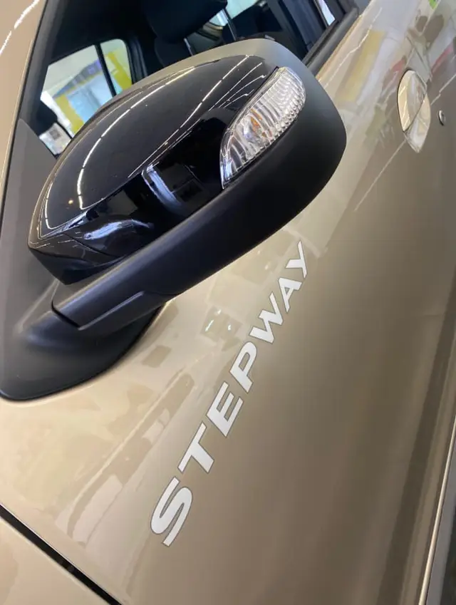Carro Renault Stepway 2024 Zen 1.0 12V SCe (Flex)