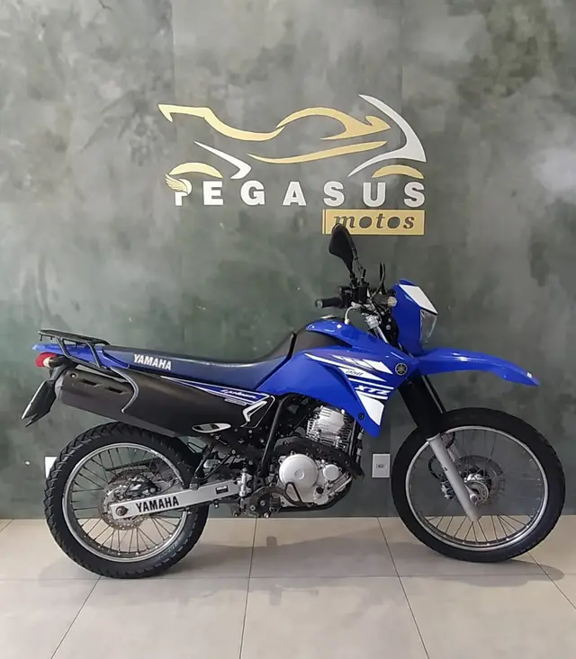 Carro Yamaha XTZ 250 Lander 2018 Blueflex