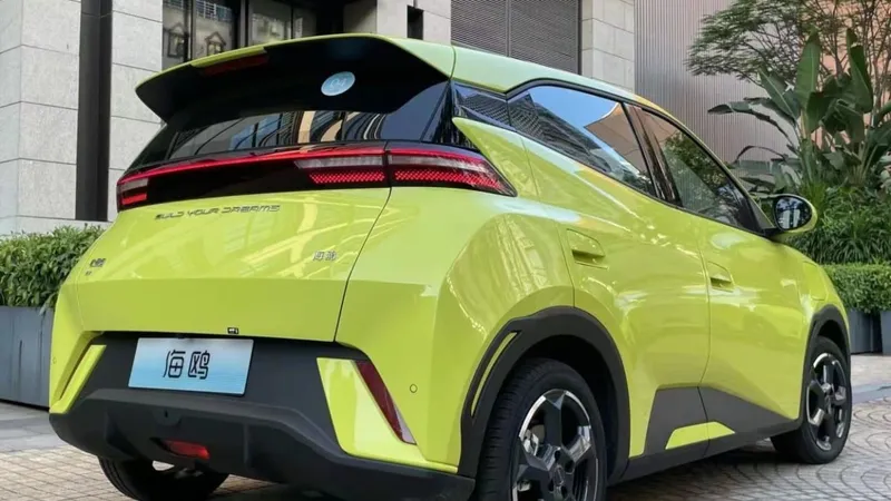 BYD Dolphin Mini é lançado no Uruguai com nome de ave e mais barato que Kwid