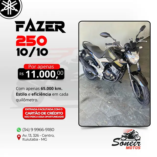Moto Yamaha YS 250 Fazer 2010 250cc