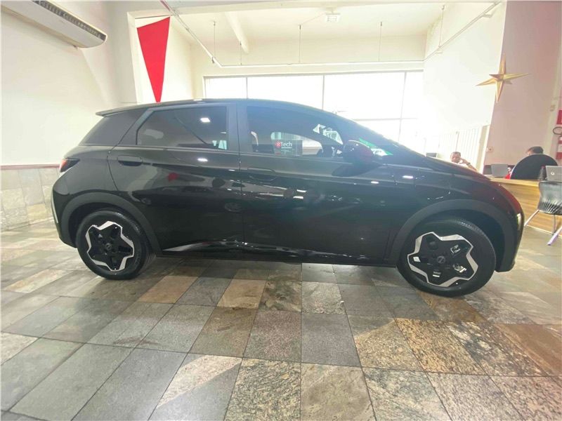 Dolphin EV
