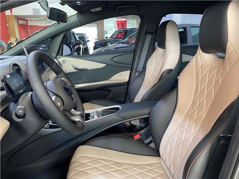 Dolphin EV