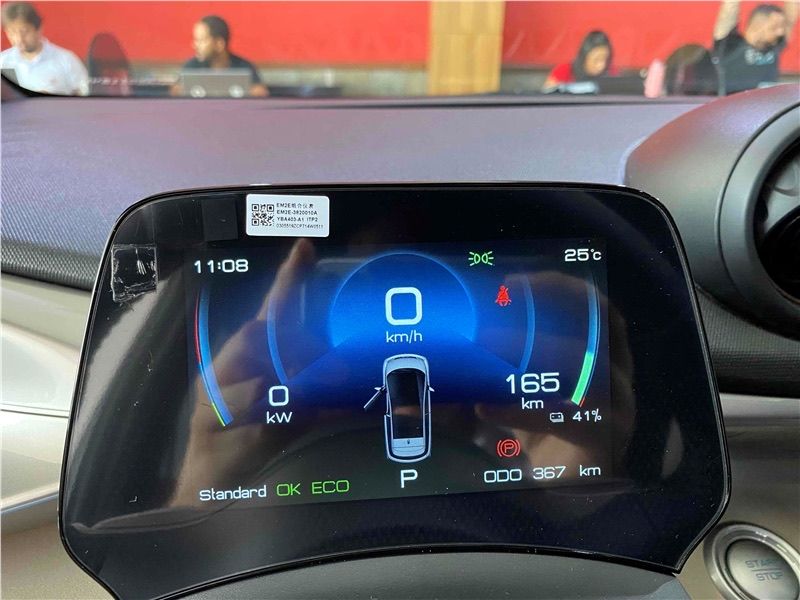 Dolphin EV