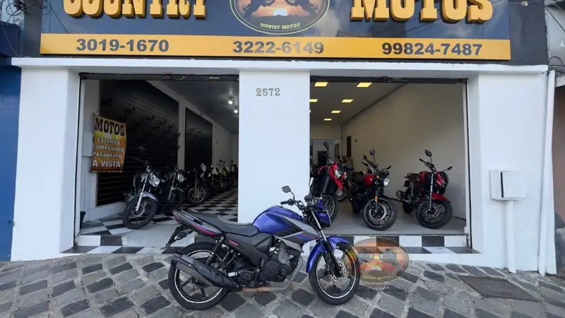 Yamaha YS150 SED