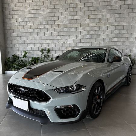 Mustang Mach 1 V8 5.0 (Aut)