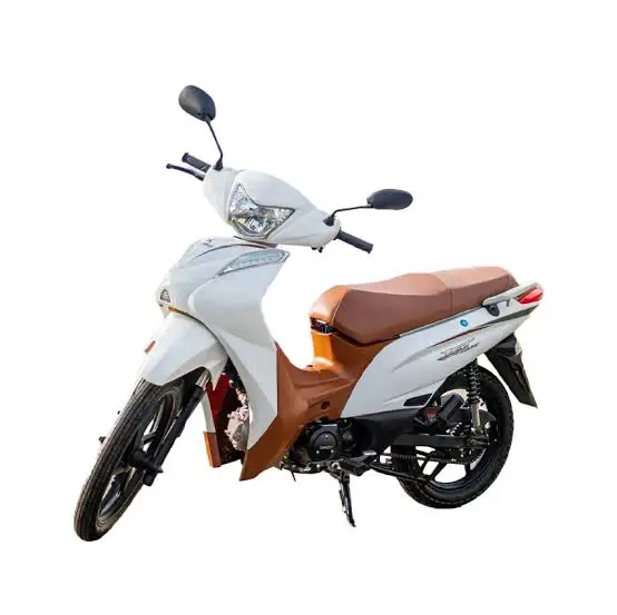 Moto Shineray JET 125SS 2024 Carburada