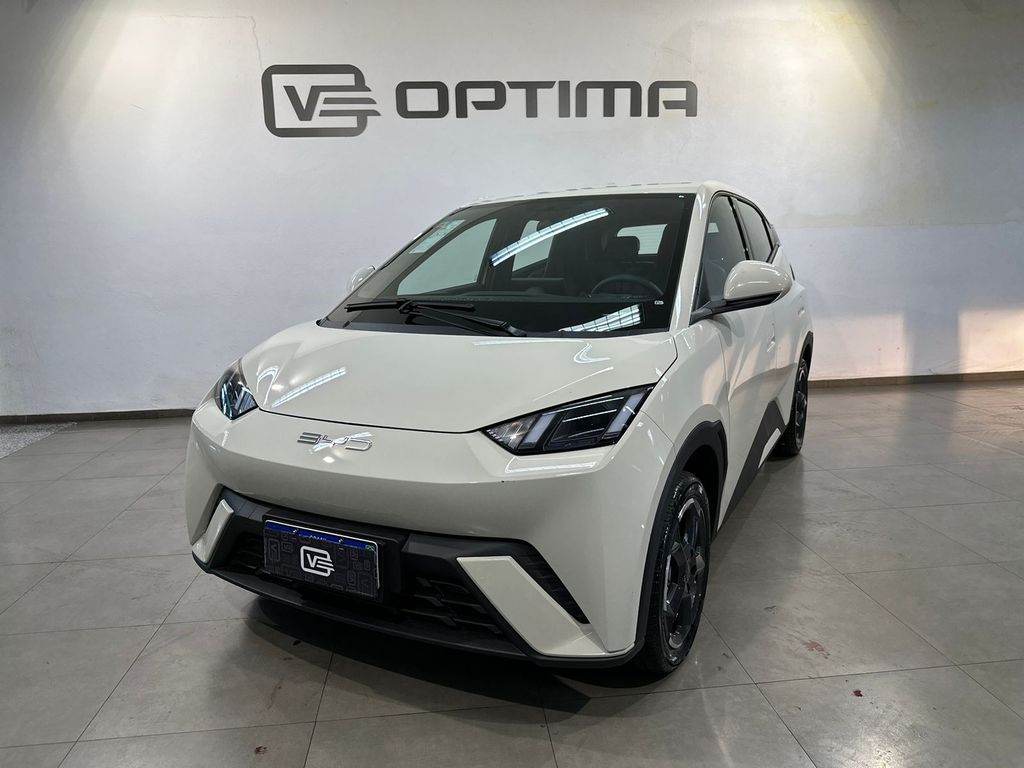 Dolphin Mini EV