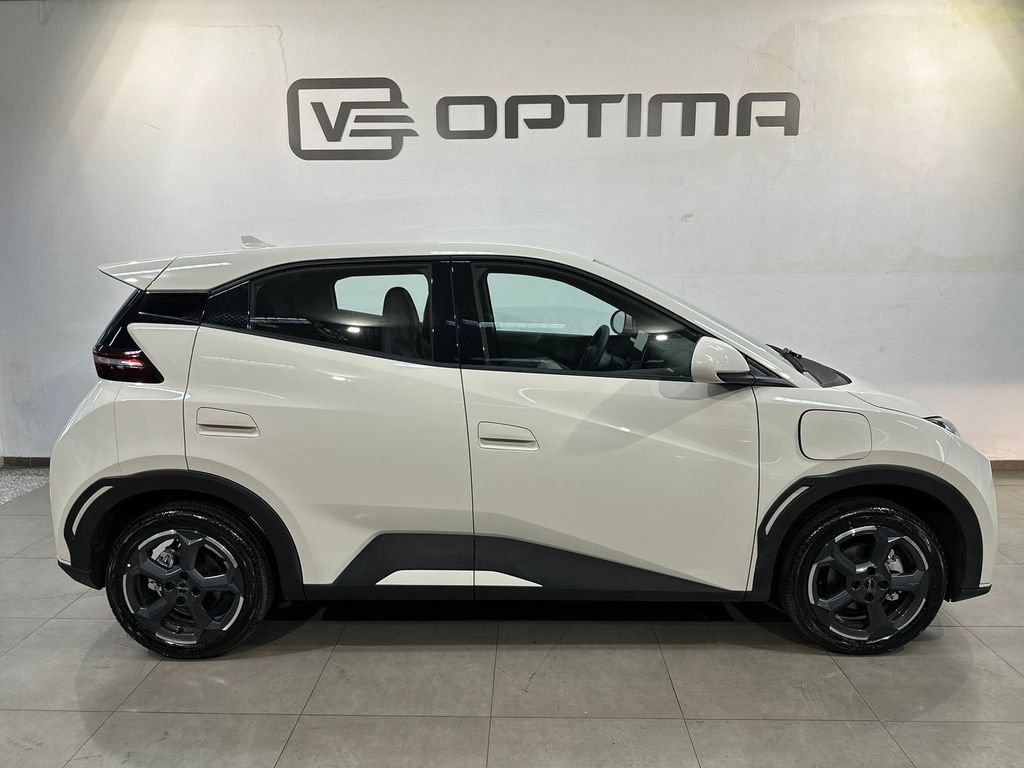 Dolphin Mini EV