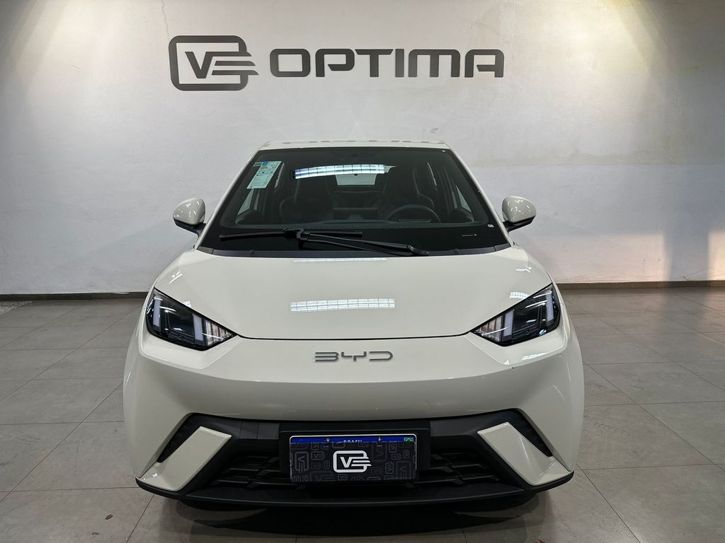 Dolphin Mini EV