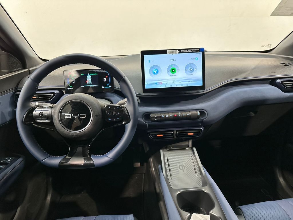 Dolphin Mini EV