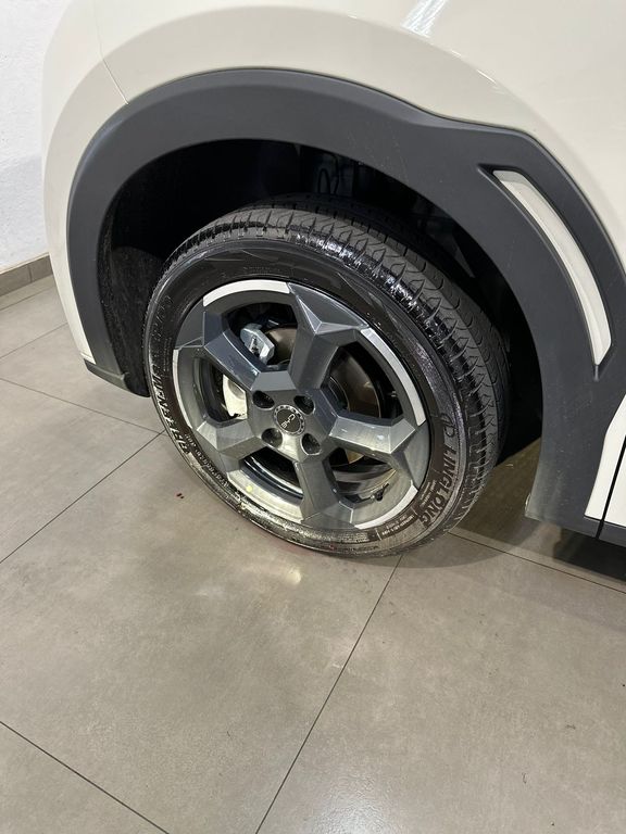 Dolphin Mini EV
