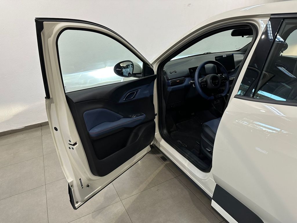 Dolphin Mini EV