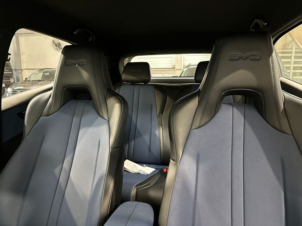 Dolphin Mini EV