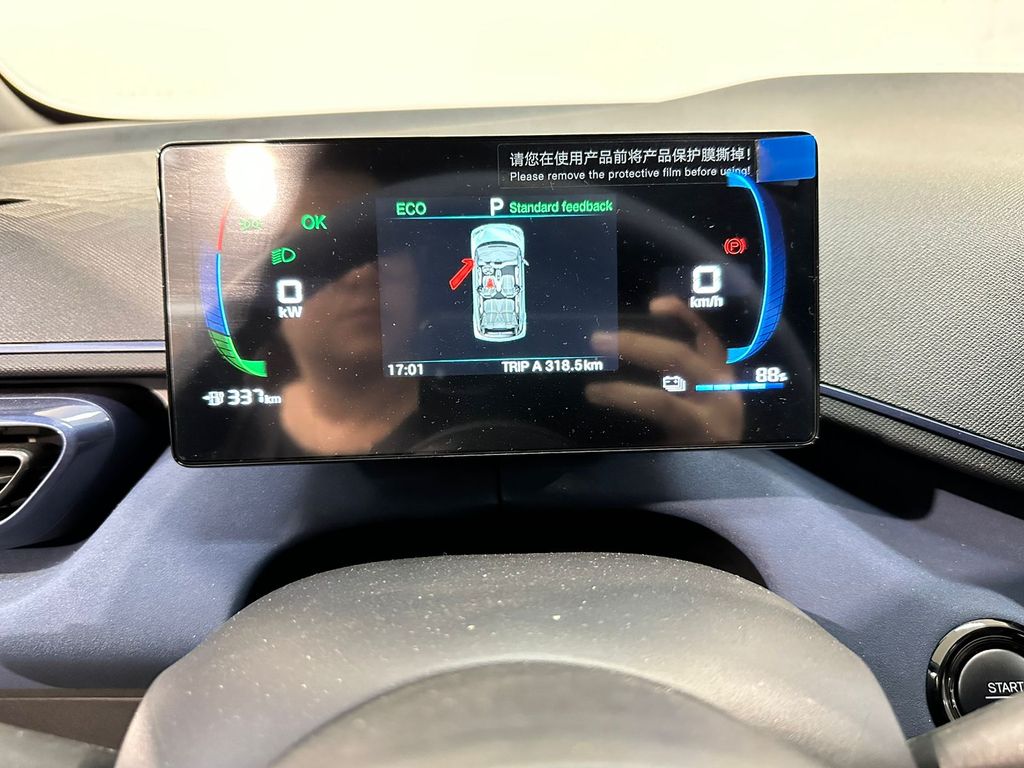 Dolphin Mini EV