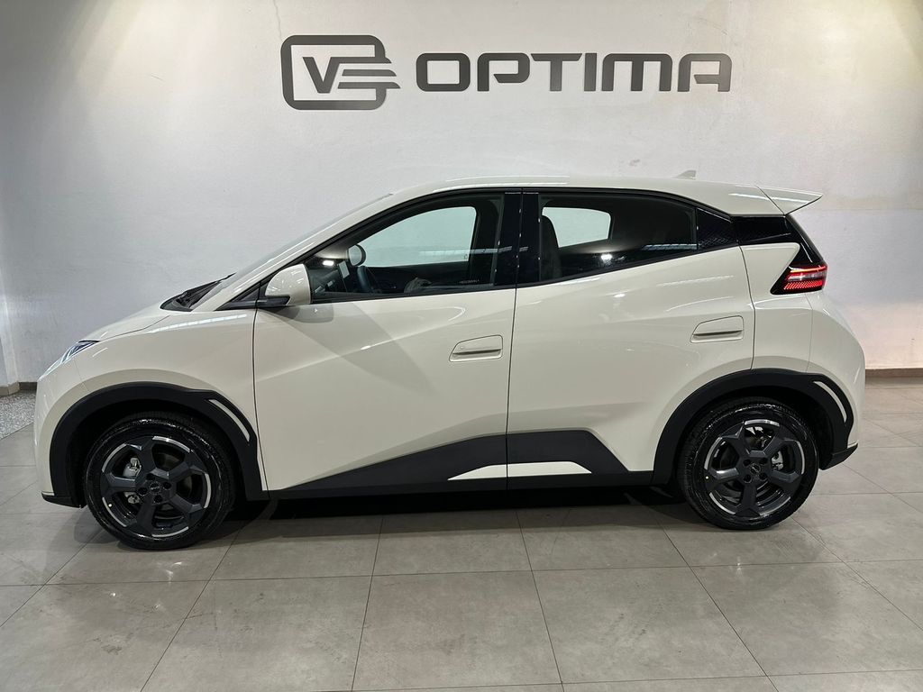 Dolphin Mini EV