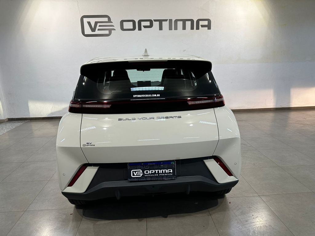 Dolphin Mini EV