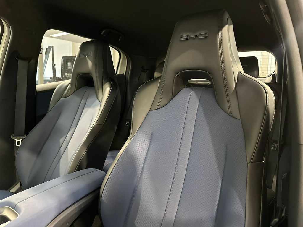 Dolphin Mini EV