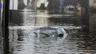 Carros de enchente: é possível reparar? fica caro?