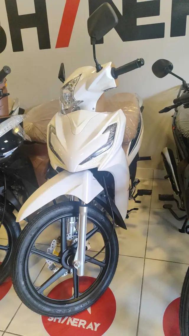 Moto Shineray Rio 125 2024 124 cc
