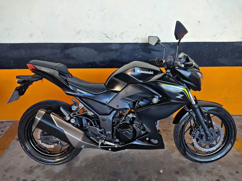 Kawasaki Z 300 296cc