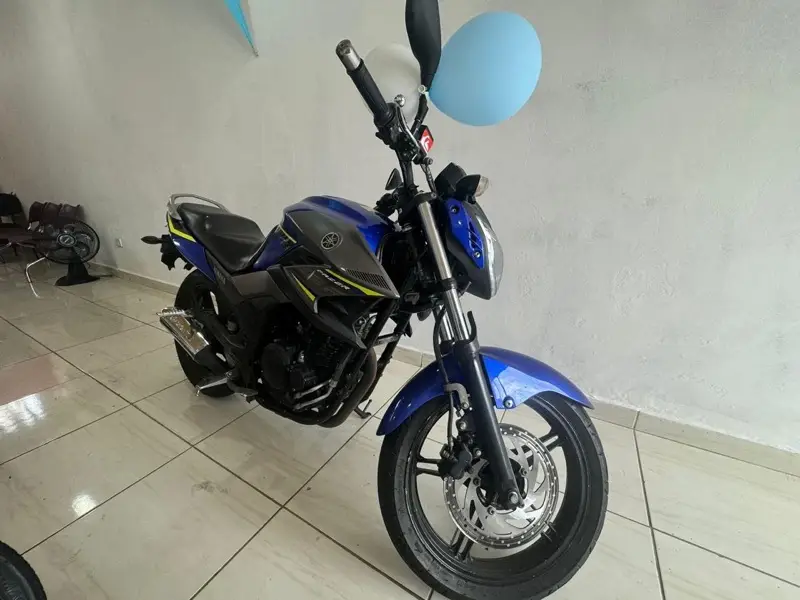 Yamaha YS 250 Fazer Blueflex