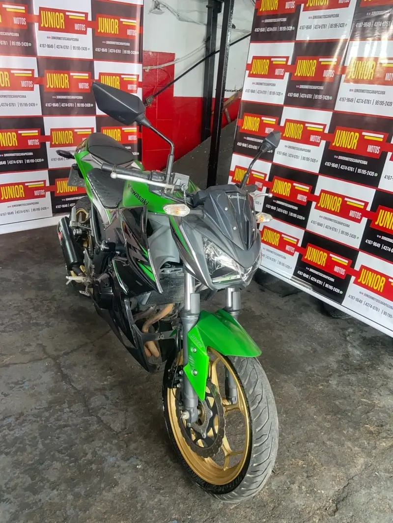 Kawasaki Z 300 (ABS)